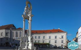 Donau Strandhaus mit Dürnstein Panorama